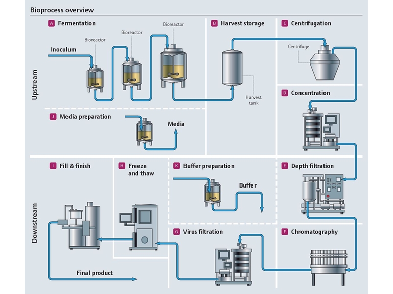 Overview process map of upstream and downstream bioprocessing